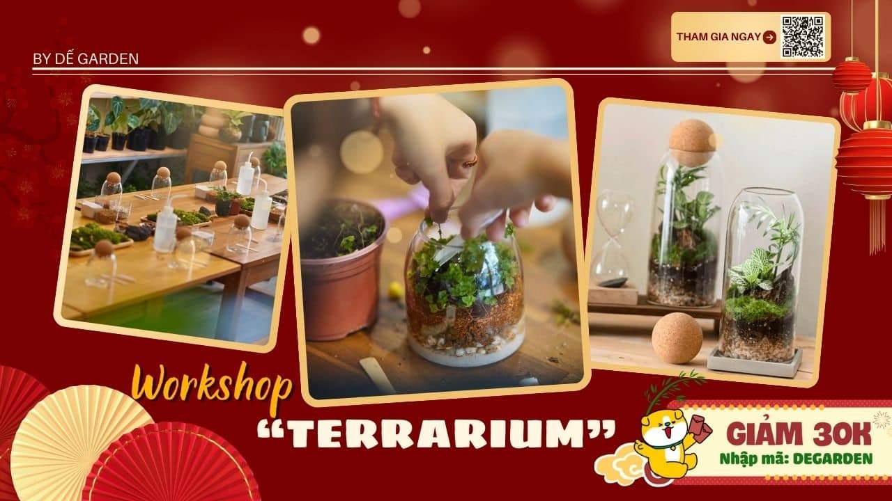 [DẾ GARDEN] Terrarium Workshop