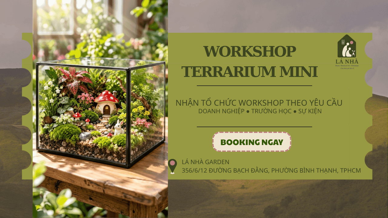[LÁ NHÀ GARDEN] Workshop Terrarium Mini