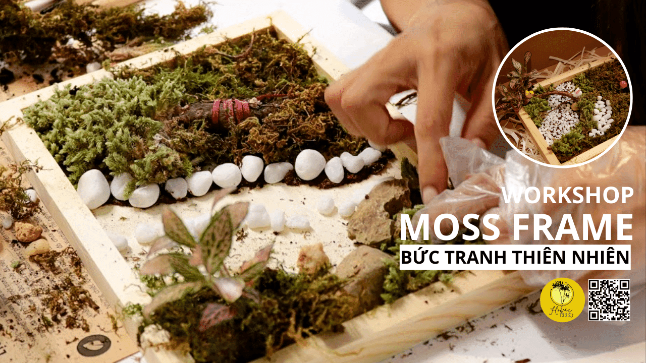 [NEW][FLOWER 1969’s] MOSS FRAME WORKSHOP - BỨC TRANH THIÊN NHIÊN