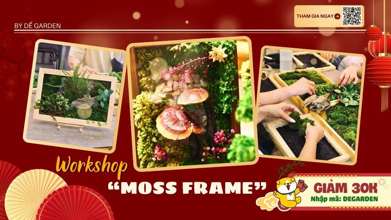 [DẾ GARDEN] Moss Frame Workshop